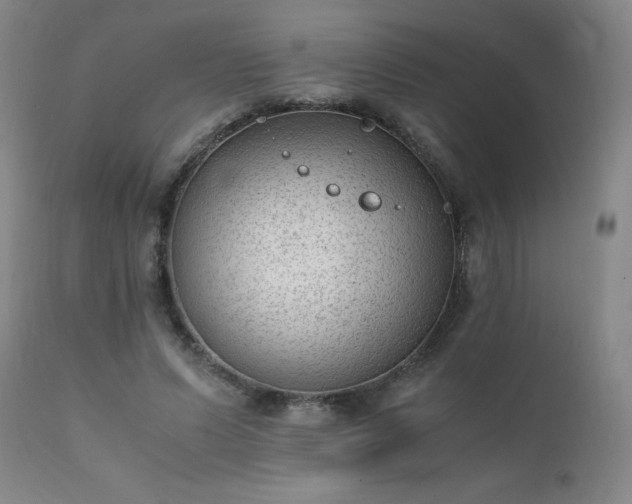 X0000111390591200907171248