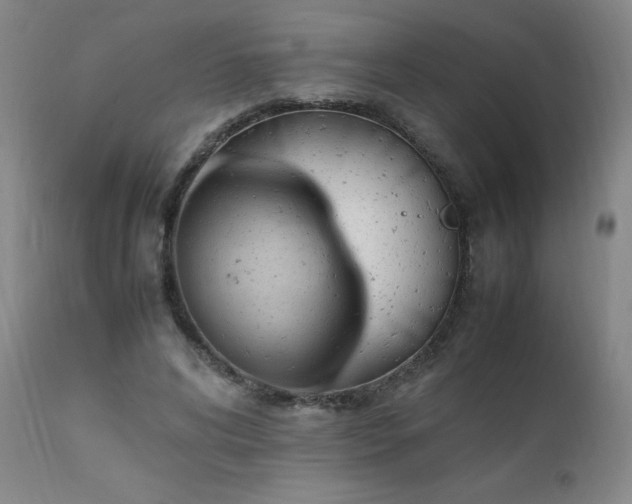 X0000111390592200907171248