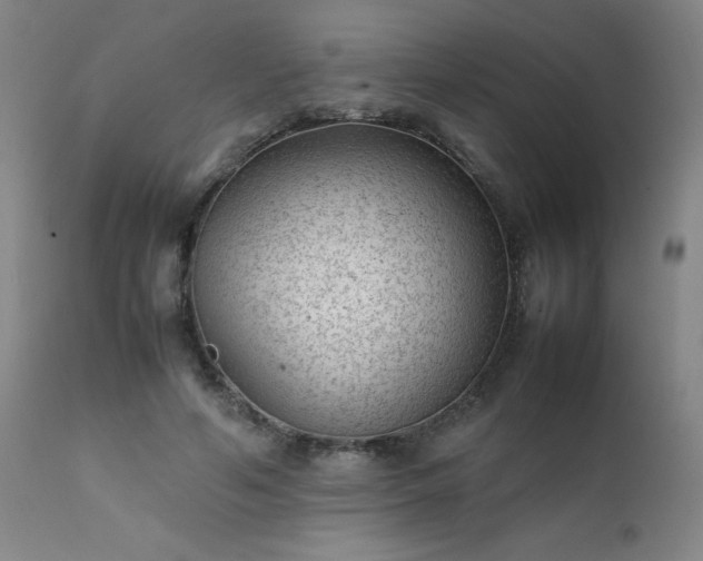 X0000111390594200907171248