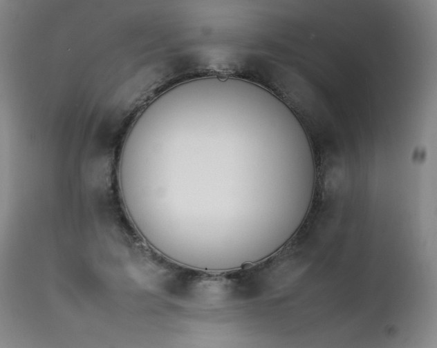 X0000111390595200907171248