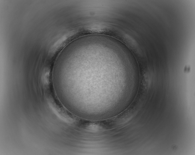 X0000111390596200907171248