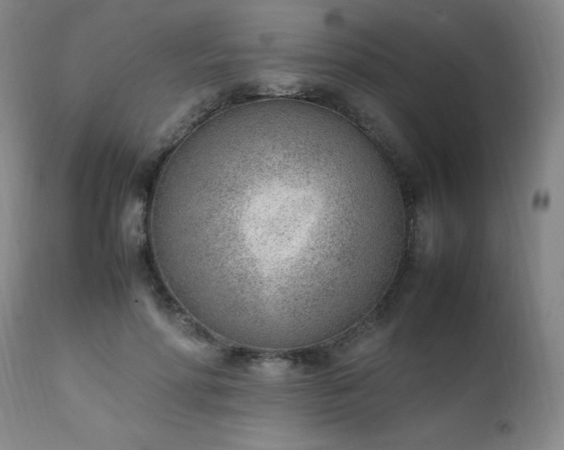 X0000111390598200907171248