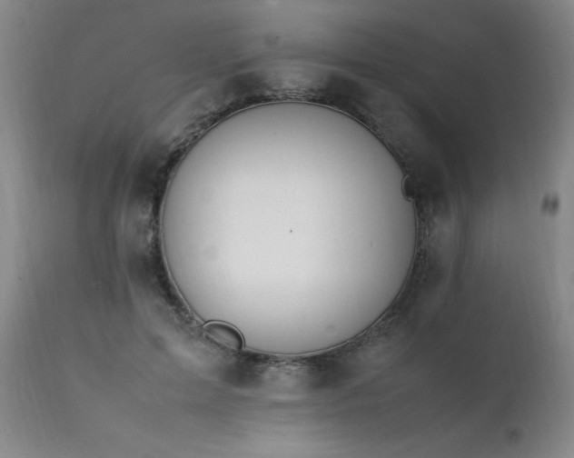 X0000111390599200907171247