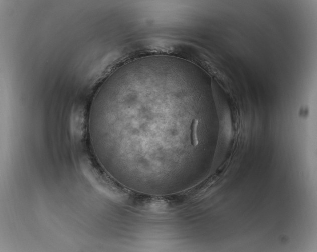 X0000111390600200907171247