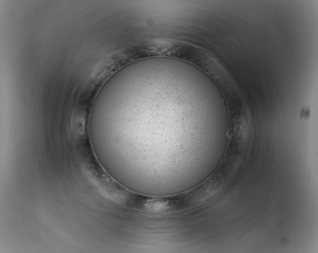 X0000111390602200907171247