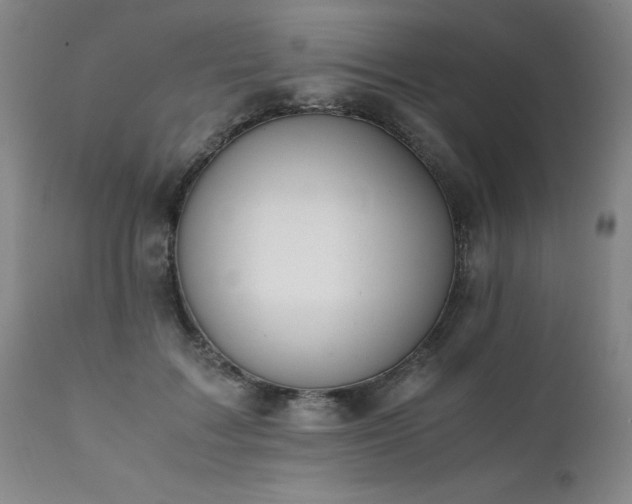 X0000111390603200907171247