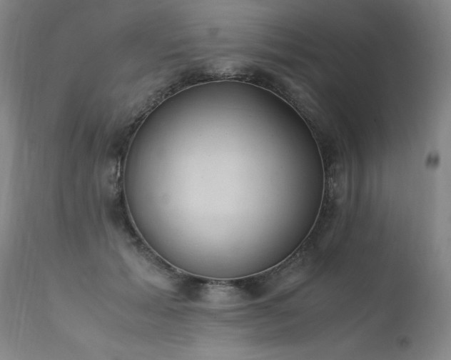 X0000111390605200907171247