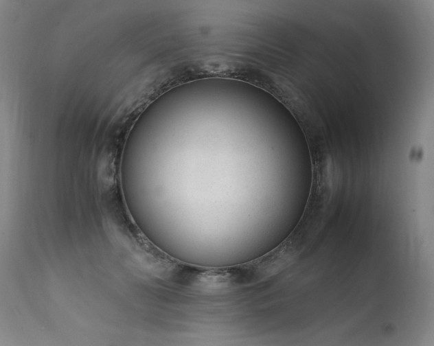 X0000111390606200907171247