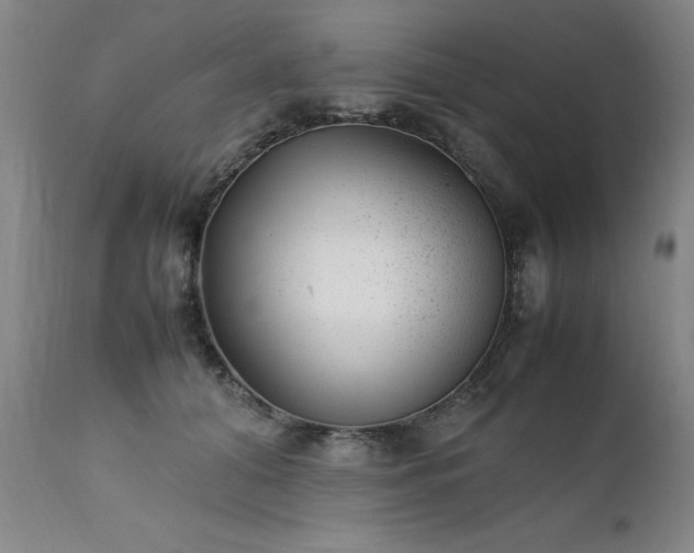 X0000111390608200907171247