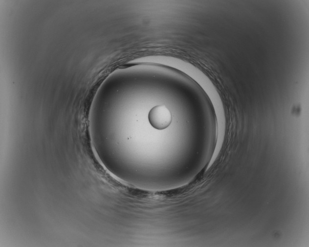 X0000111390609200907171247