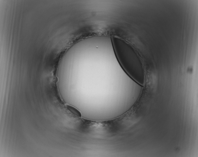 X0000111390611200907171247