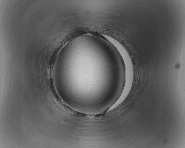 X0000111390613200907171247