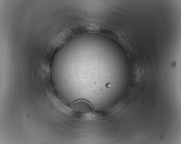 X0000111390614200907171247