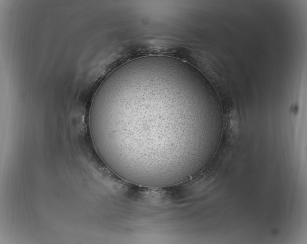 X0000111390615200907171247