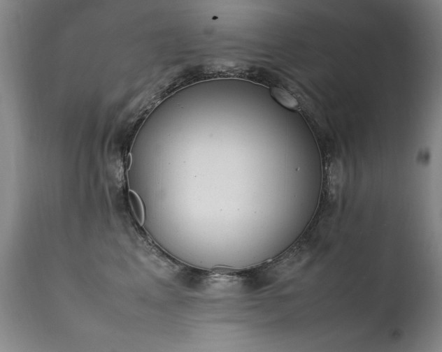 X0000111390617200907171247