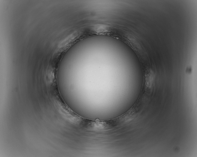 X0000111390618200907171247