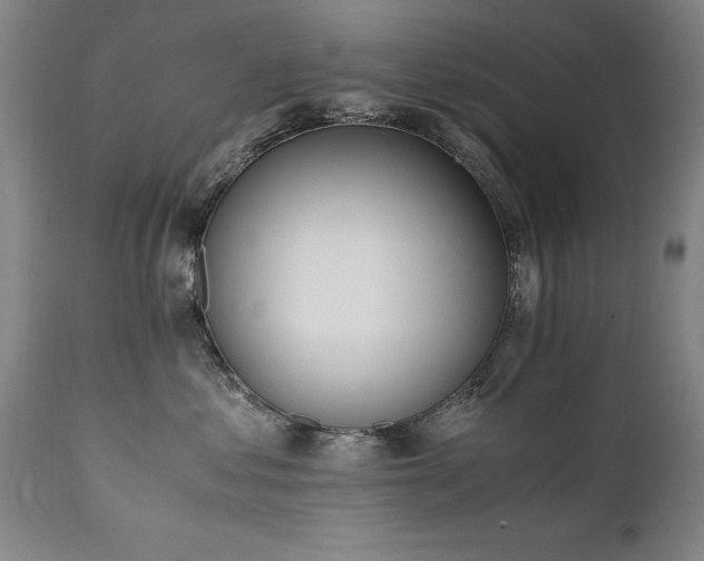 X0000111390621200907171247