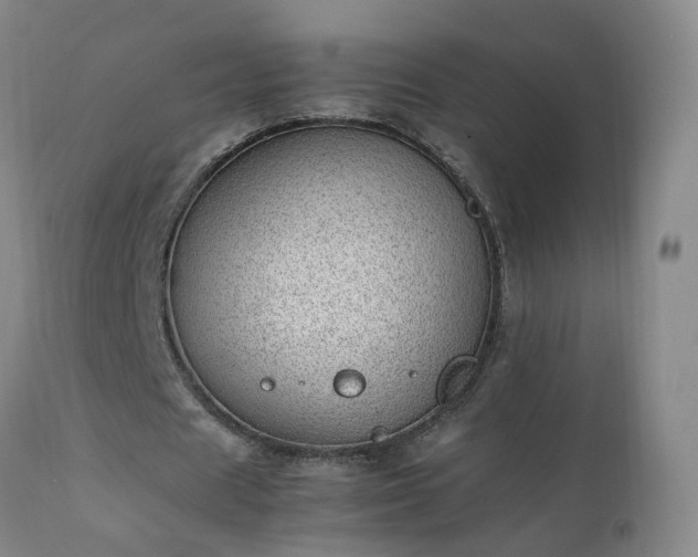 X0000111390625200907171246