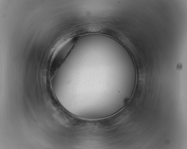 X0000111390626200907171246