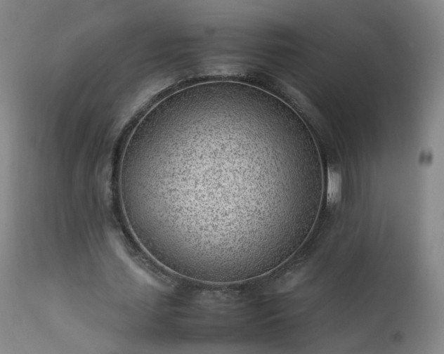 X0000111390627200907171246