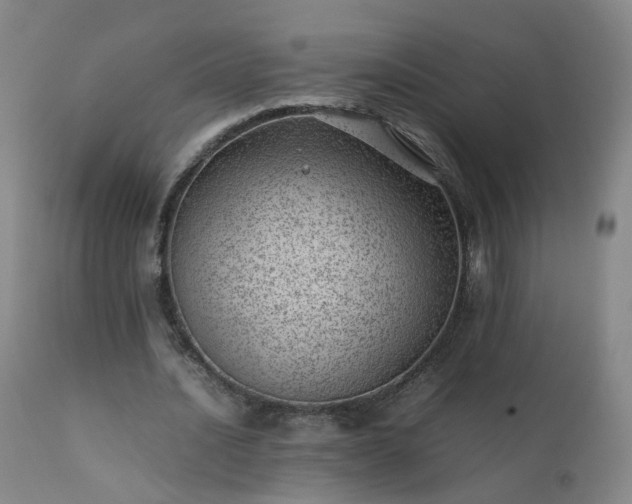 X0000111390628200907171246