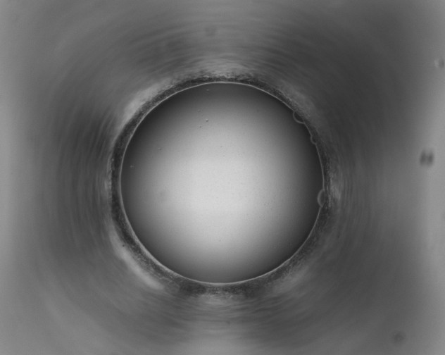 X0000111390630200907171246