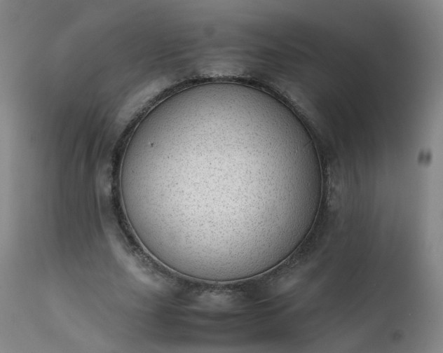 X0000111390631200907171246