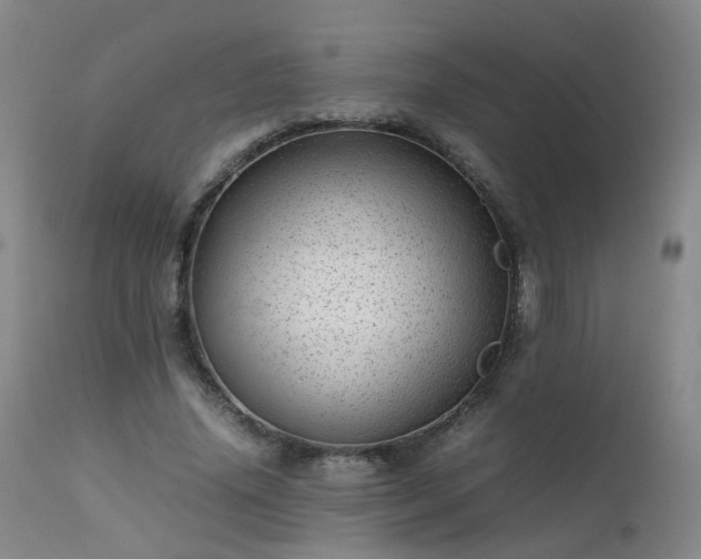 X0000111390636200907171246