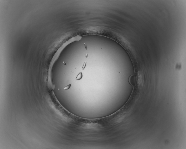 X0000111390637200907171246