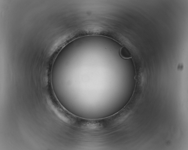 X0000111390638200907171247