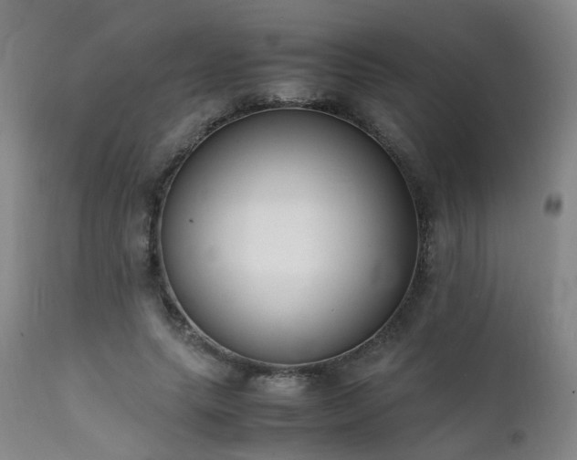 X0000111390639200907171247