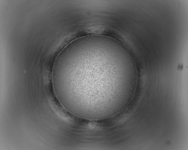 X0000111390641200907171247