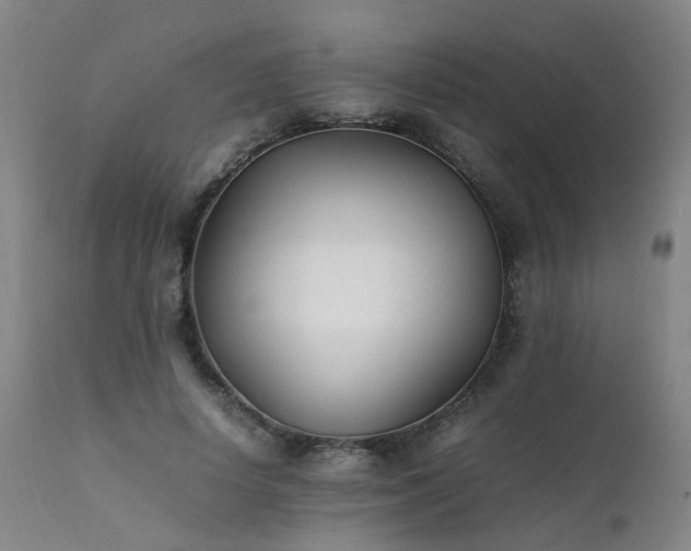 X0000111390642200907171247