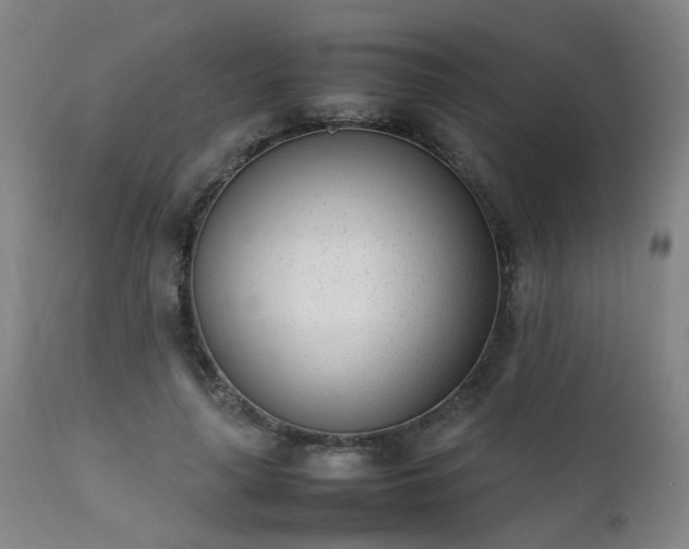 X0000111390643200907171247