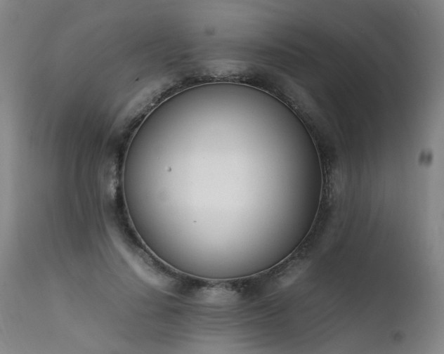 X0000111390644200907171247