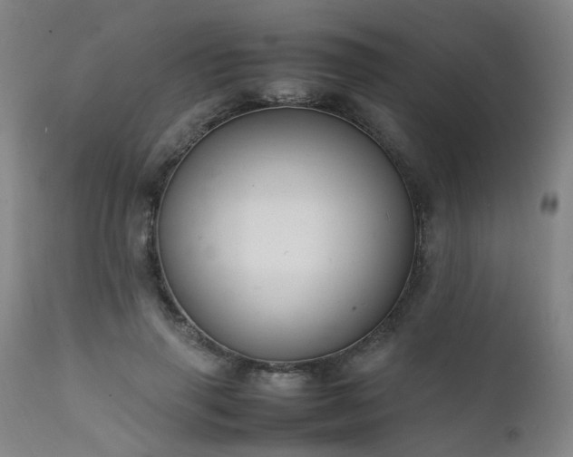 X0000111390645200907171247