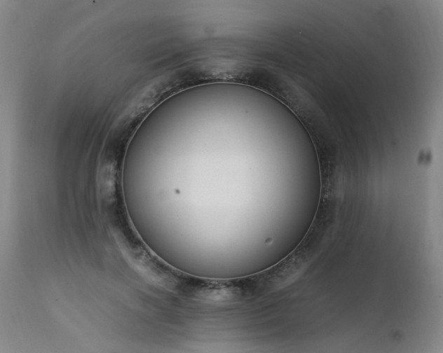 X0000111390646200907171247