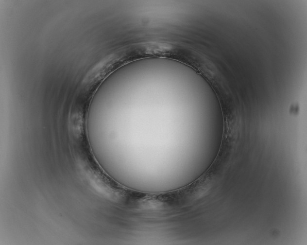 X0000111390648200907171247