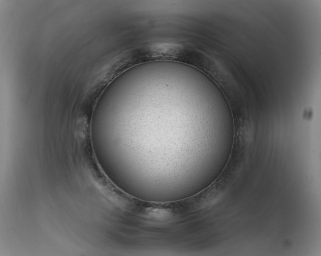 X0000111390649200907171247