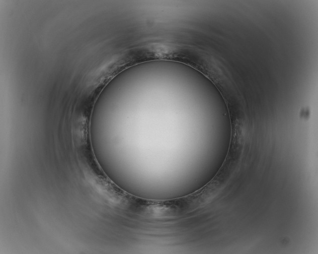 X0000111390650200907171247