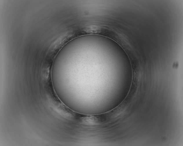 X0000111390652200907171247