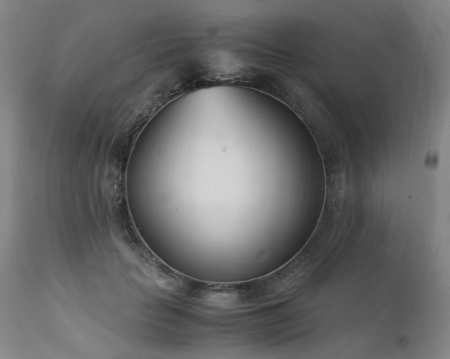 X0000111390653200907171247