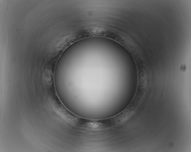 X0000111390654200907171247