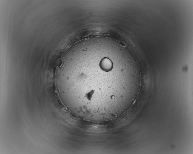 X0000111390657200907171247