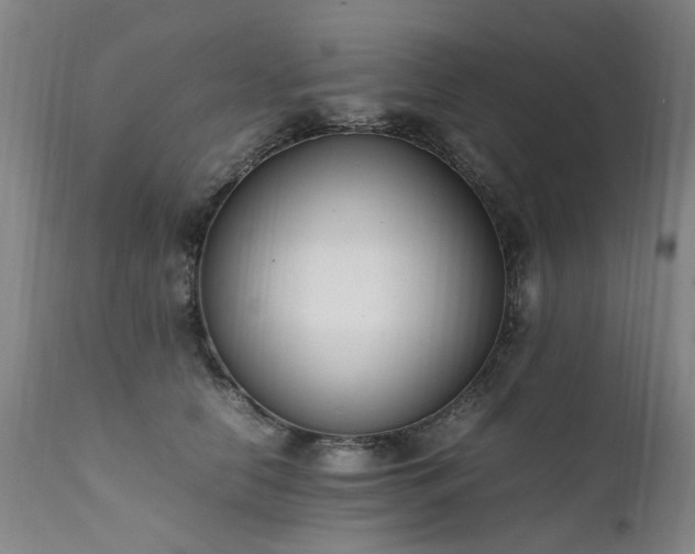 X0000111390658200907171247