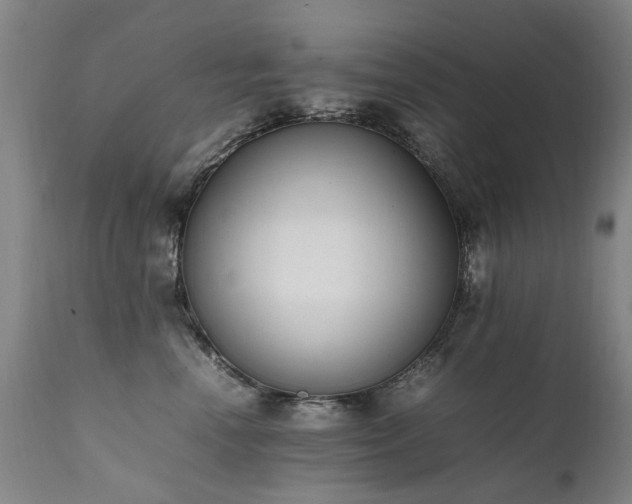 X0000111390666200907171247