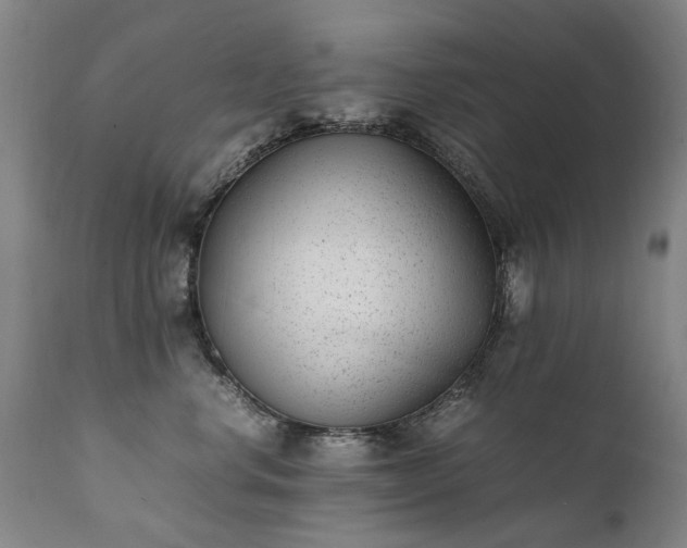 X0000111390668200907171247