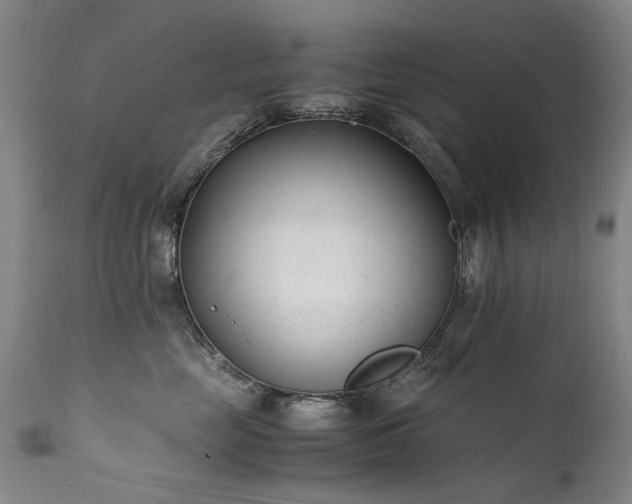 X0000111390669200907171247