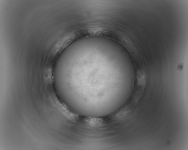 X0000111390670200907171247