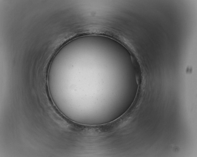 X0000111390673200907171246